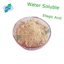 Plant Extract Powder of Ellagic Acid Water Soluble